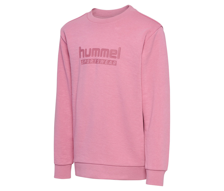 Rosa Hummel HMLJR Base-Sweatshirt.