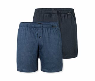 Blauer Print