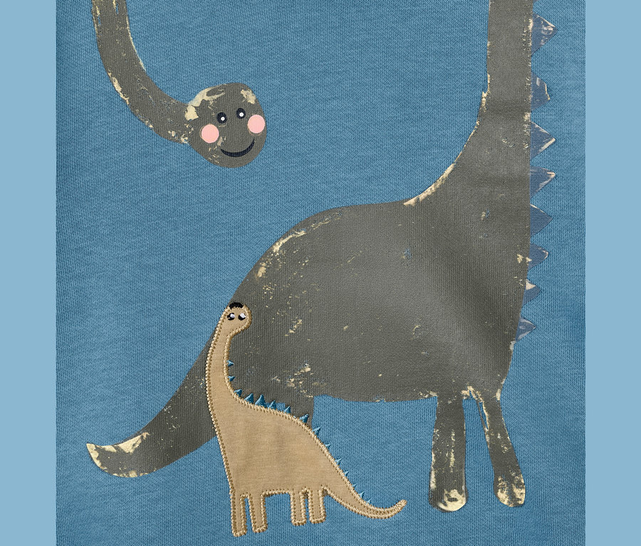 Detailansicht eines Kinder-Sweaters mit Dino-Applikation.