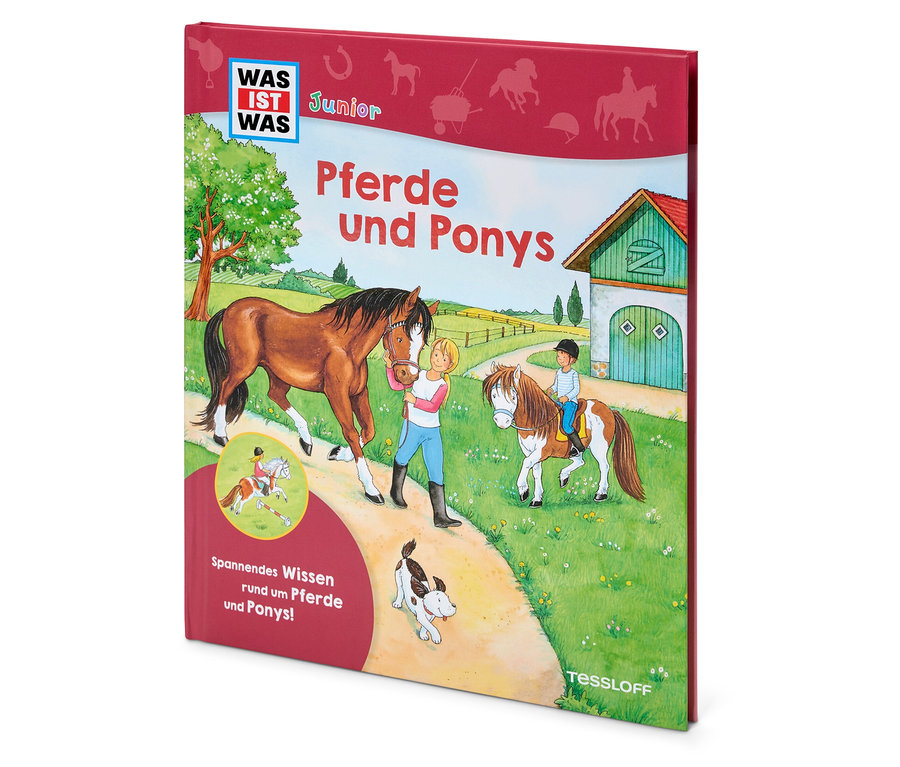 Cover des Buches 'Pferde und Ponys' mit Illustrationen von Pferden, Kindern und einem Hund auf einem Feldweg.