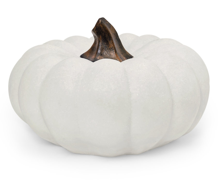 Ein weißer Kürbis mit braunem Stiel liegt auf einem weißen Hintergrund.