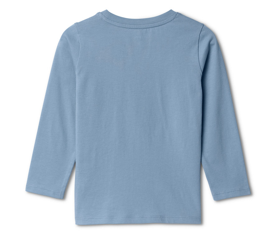 Rückansicht eines hellblauen, langärmeligen T-Shirts.