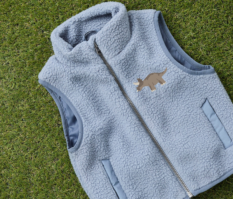 Hellblaue Fleeceweste mit Triceratops-Motiv liegt auf grünem Gras.