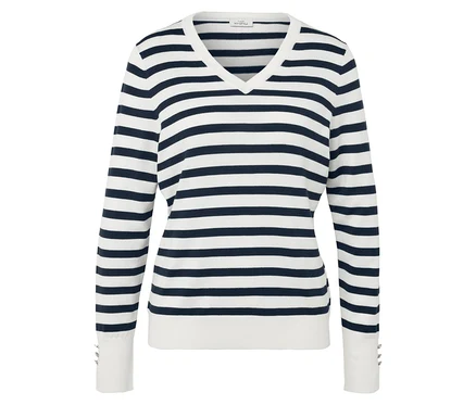 Gestreifter Langarmpullover in Blau und Weiß mit V-Ausschnitt.