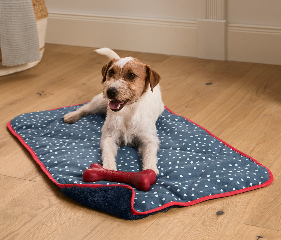 Jack Russell liegt auf der Hunde-Kuscheldecke mit einem roten Knochen.