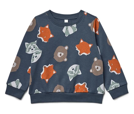 Blaues Sweatshirt mit Tiermuster.