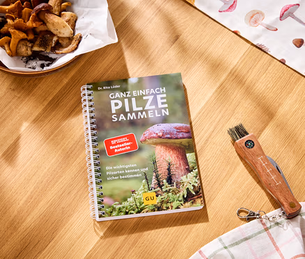 Ein spiralgebundenes Buch "Ganz einfach Pilze sammeln" liegt auf einem Holztisch neben einem Pilzmesser mit Bürste und Kompass. Links oben steht eine Holzschale mit gesammelten Pilzen, rechts oben ein Tuch mit Pilzmotiven.