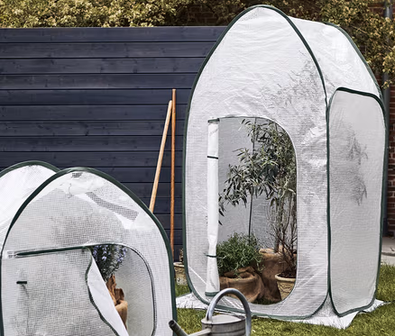 Hohes und kleines Pop-up-Pflanzenschutz-Zelt stehen auf Rasen.