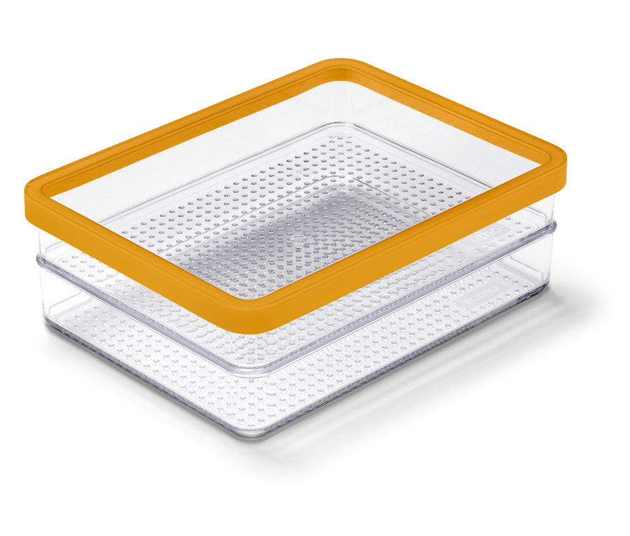 Zwei durchsichtige Plastikboxen übereinander mit orangefarbenem Rand.