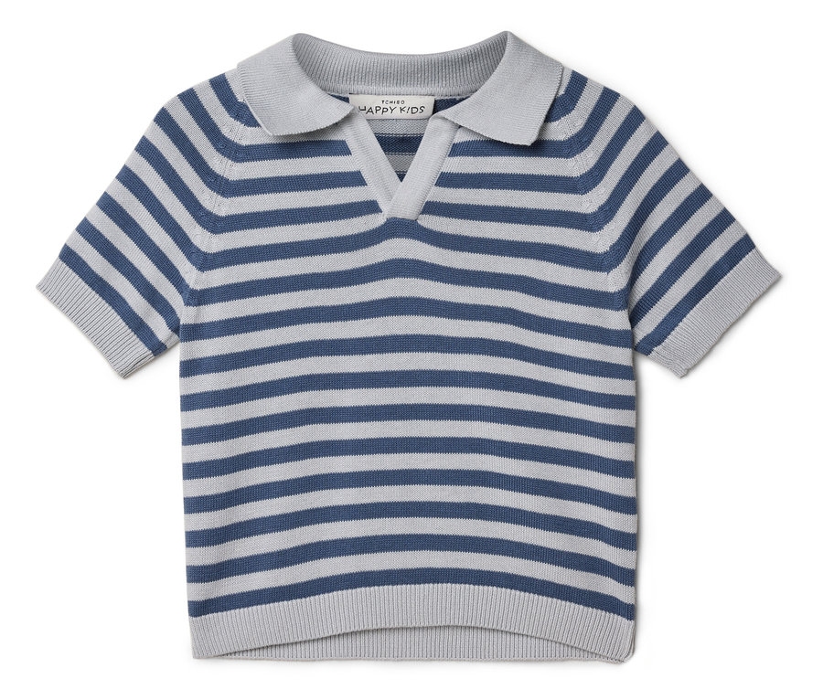 Ein gestreiftes, kurzärmeliges Poloshirt in Blau und Grau liegt auf einem weißen Hintergrund.