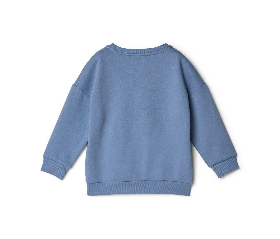 Blauer Langarm-Sweatshirt, Rückansicht, mit geripptem Rundhalsausschnitt, Bündchen und Saum, auf weißem Hintergrund.