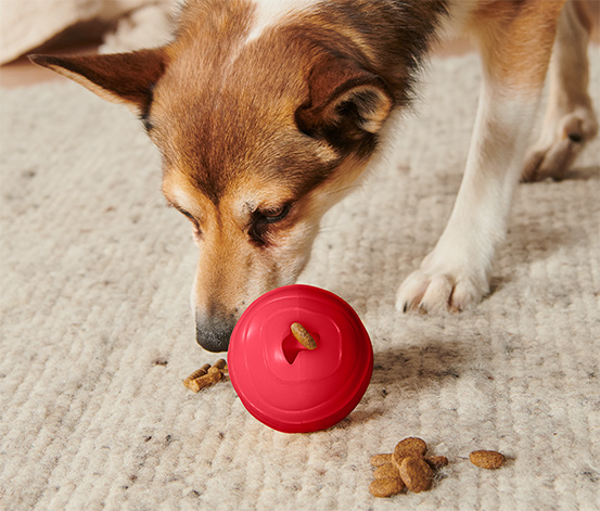 Hundespielzeug »Snackball«