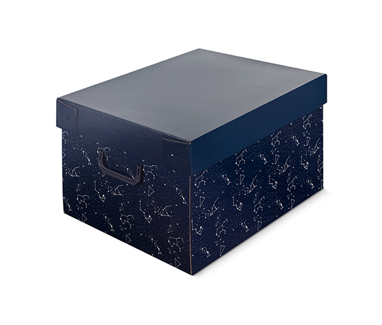 Weihnachtsdeko-Ordnungsbox online bestellen bei Tchibo 601563