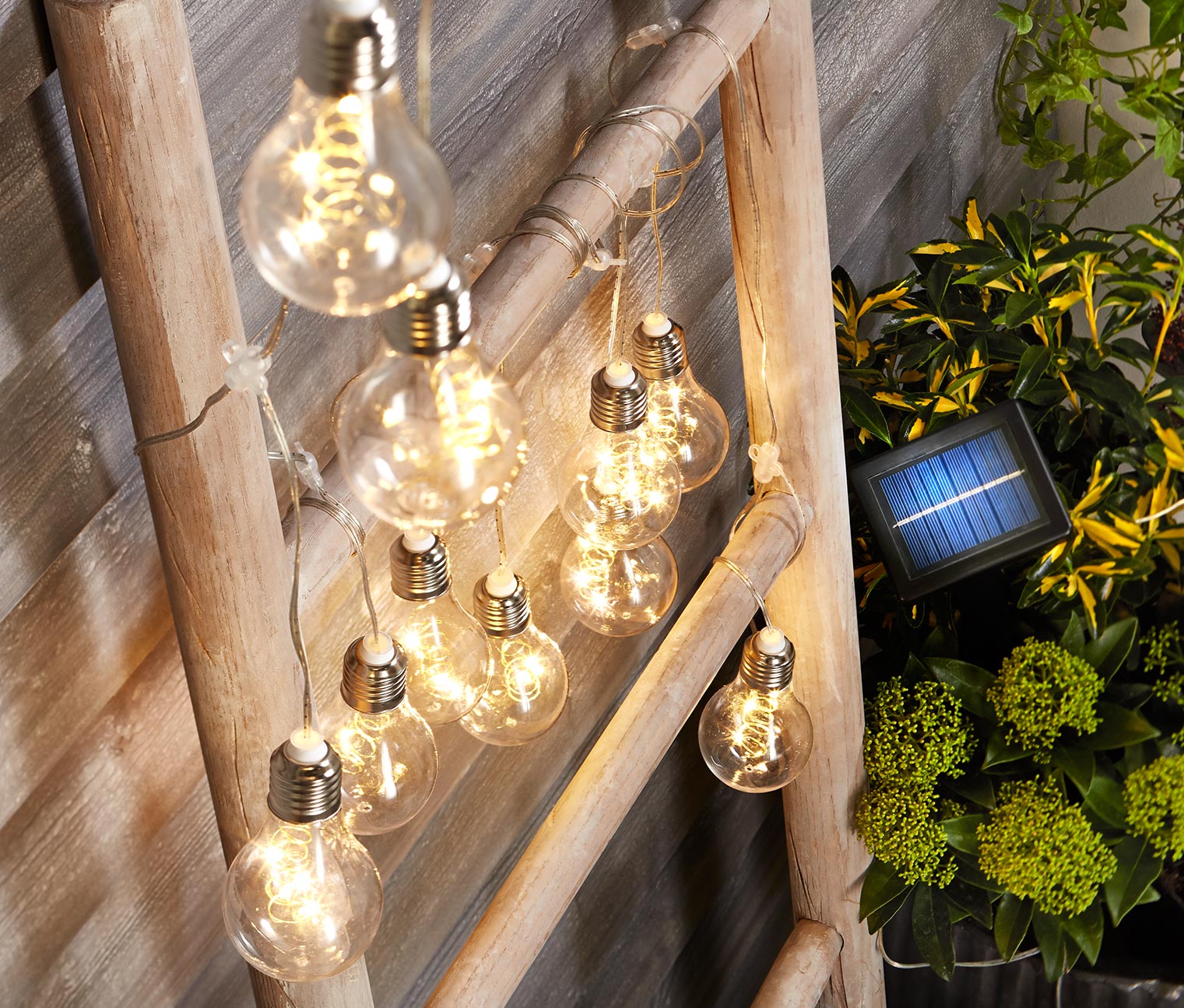 LEDSolarLichterkette »Filament« online bestellen bei Tchibo 356031
