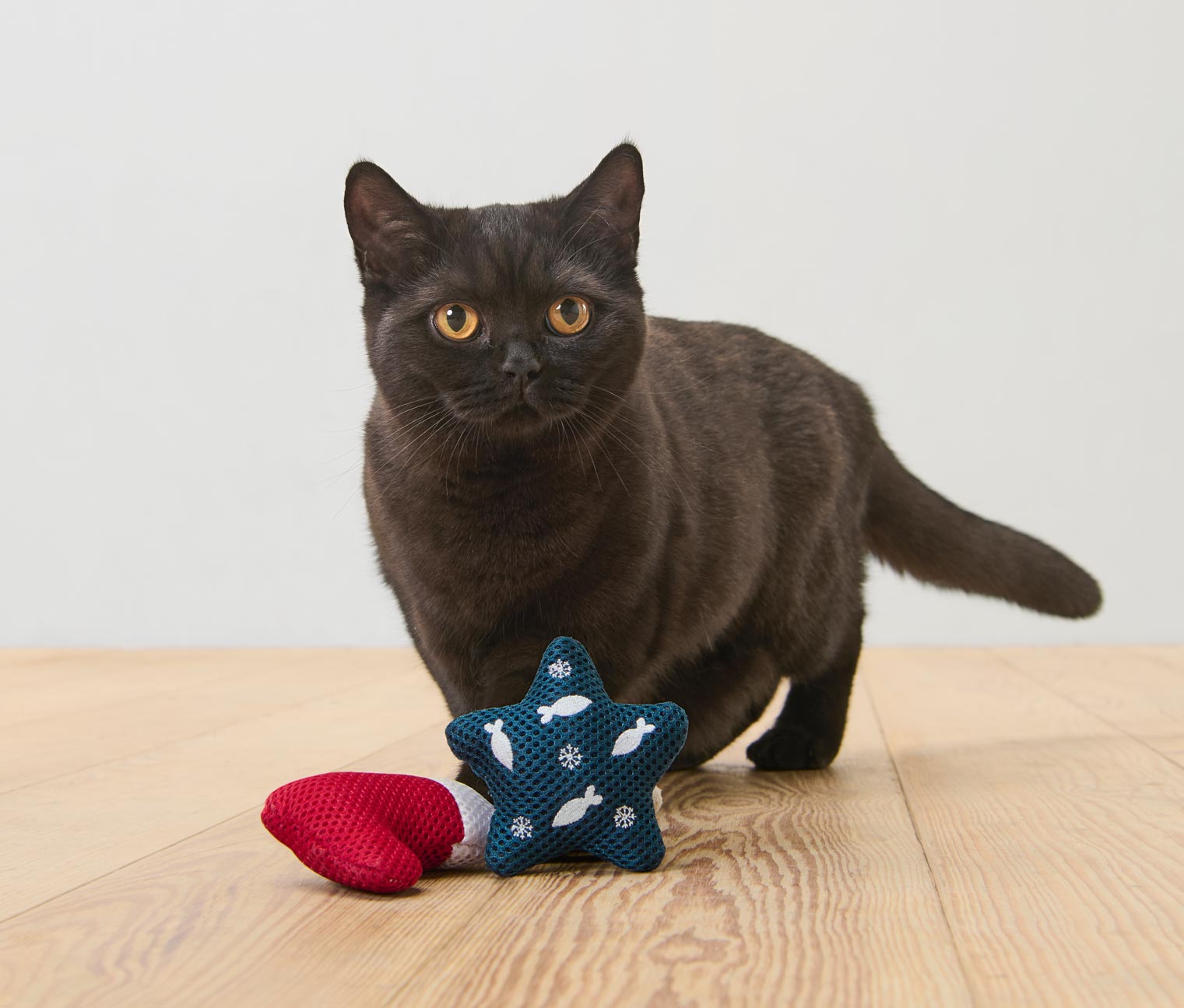 Katzenspielzeug