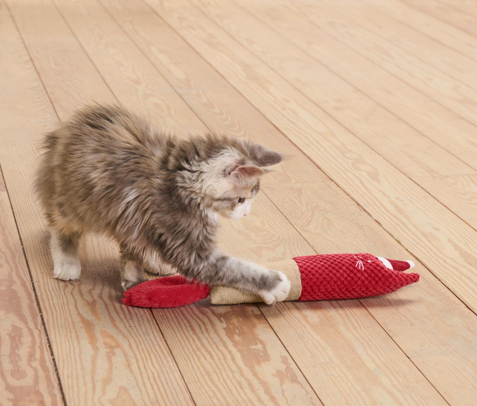 Katzen-Spielrolle
