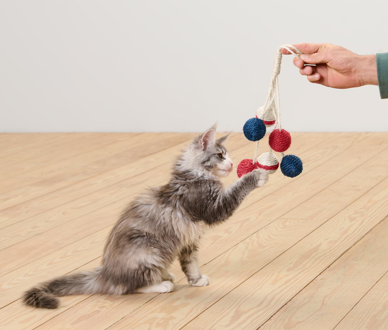 Katzenspielzeug »Rassel«