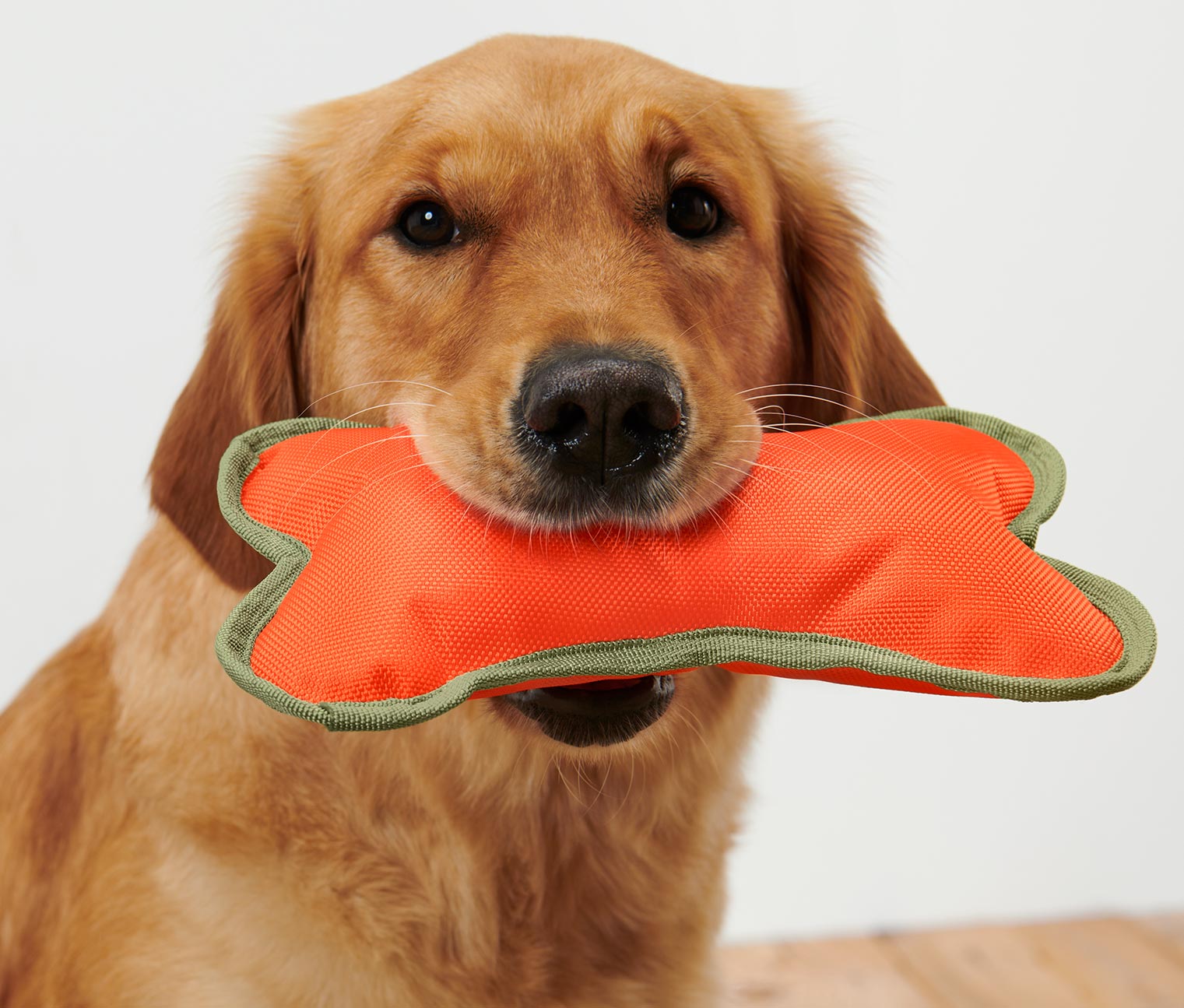 Hundespielzeug »Knochen«