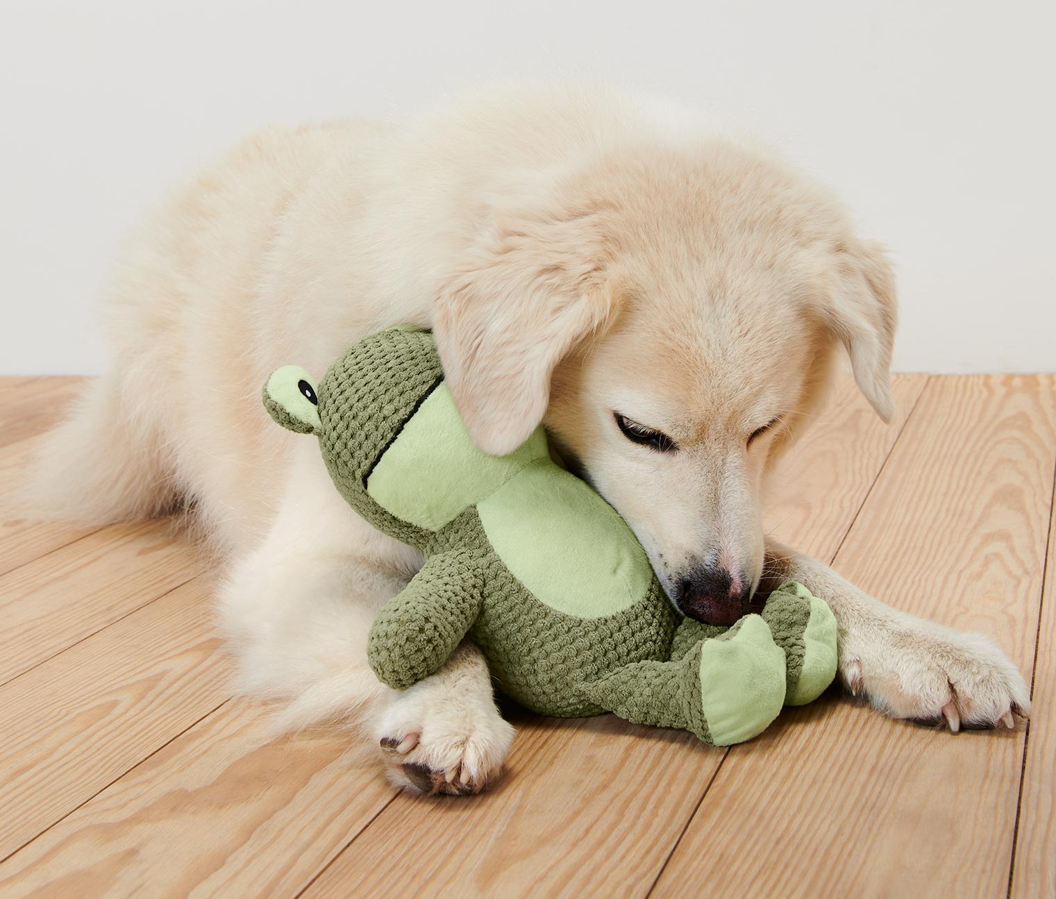 Hunde-Plüschspielzeug »Frosch«