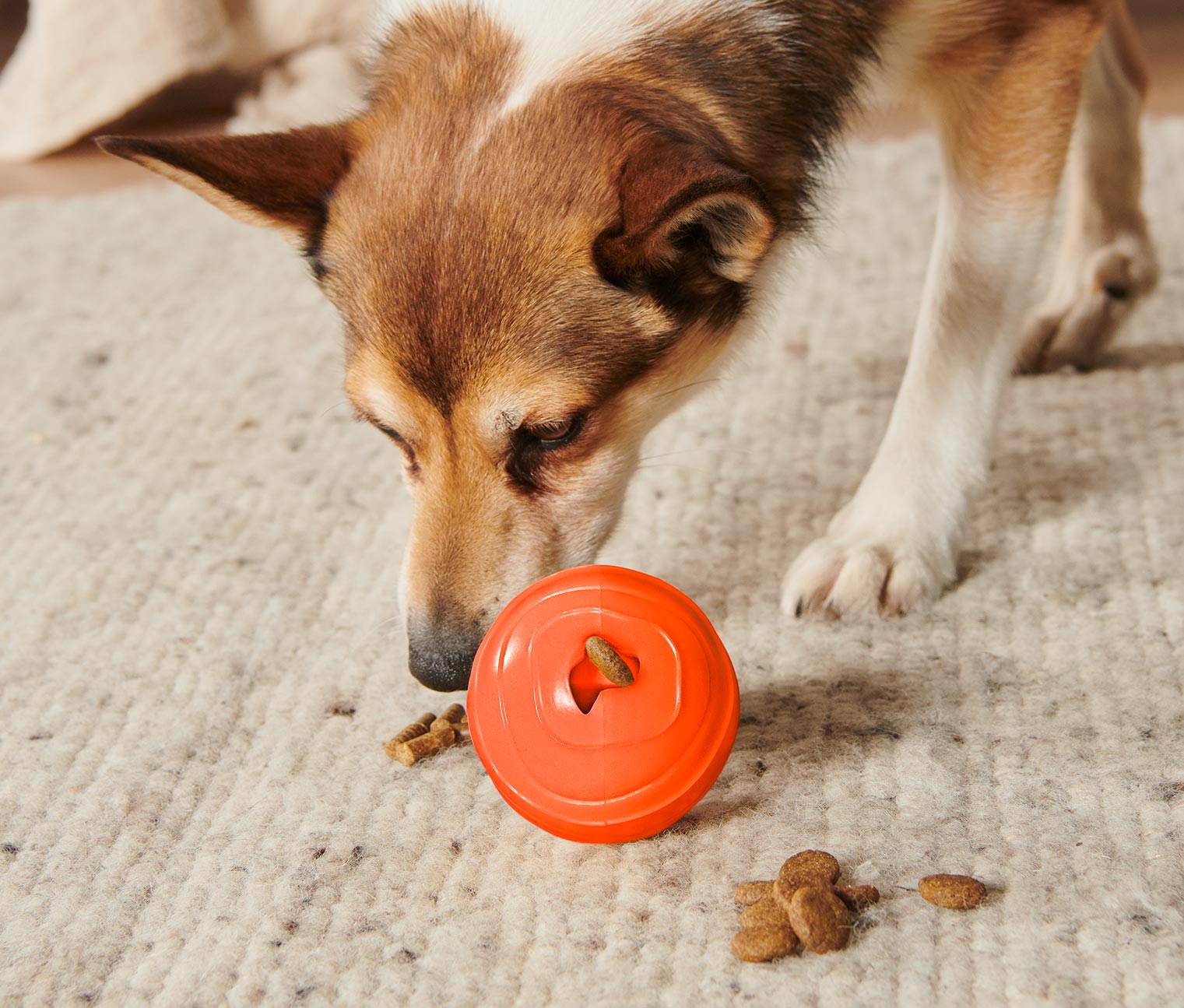 Hundespielzeug »Snackball«