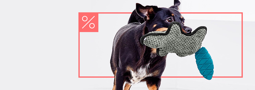 SALE Tierbedarf