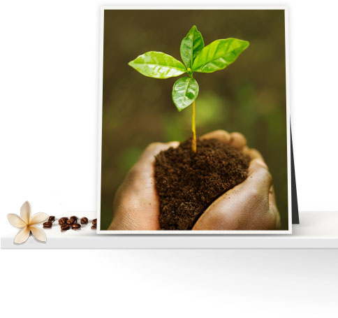 Fairtrade