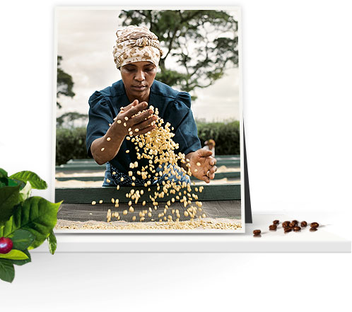Fairtrade