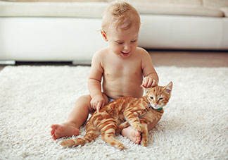 Ein Baby sitzt auf einem weissen Teppich und streichelt eine rotbraune Katze.