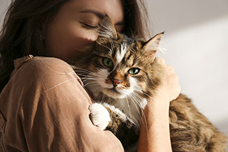 Tierbedarf für Ihre Katze: Eine junge Frau mit langem braunen Haar hält eine weiss-braun-gemusterte Katze in ihrem Arm.